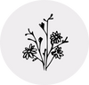 Aster