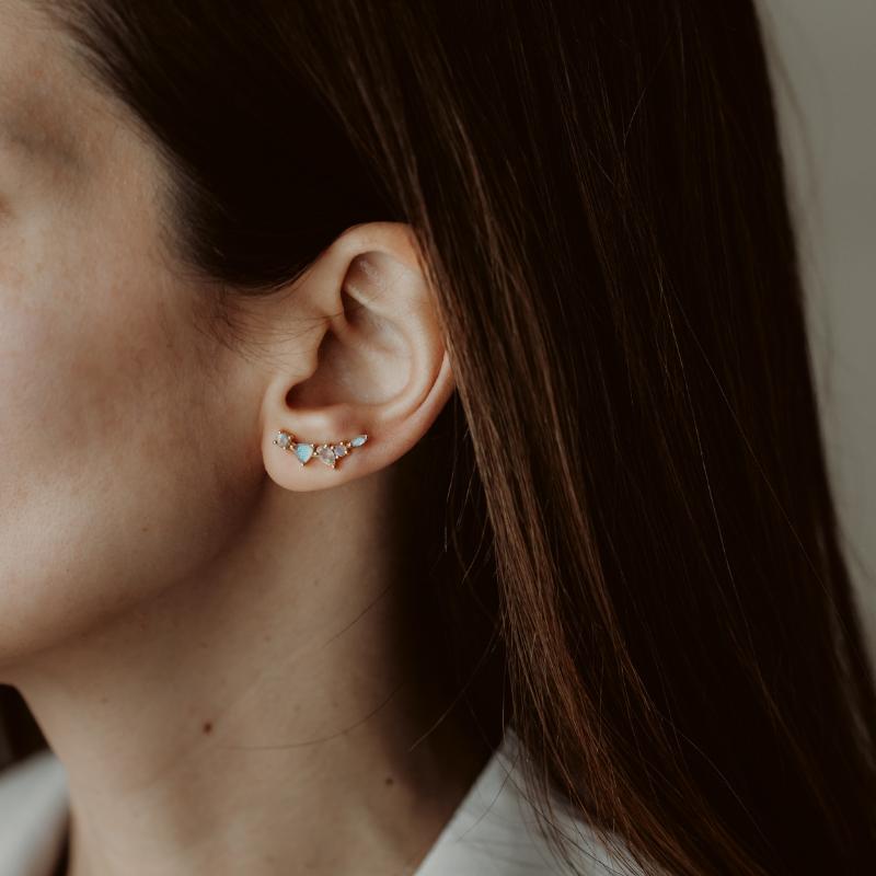 Valery Golden silver earrings - Moonstone