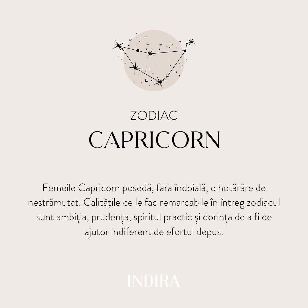 Golden Zodiac silver necklace - Capricorn